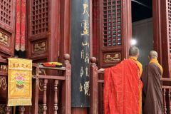 LUOYAN-003