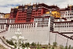 TIBET-013