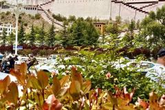 TIBET-014