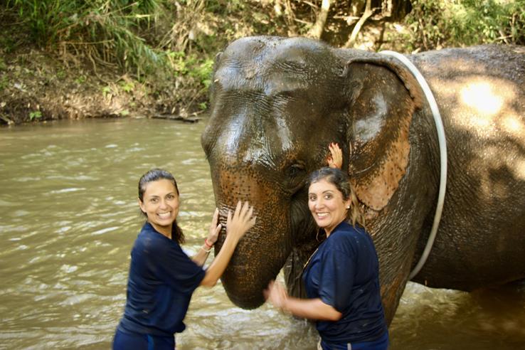 Tailândia Elefantes