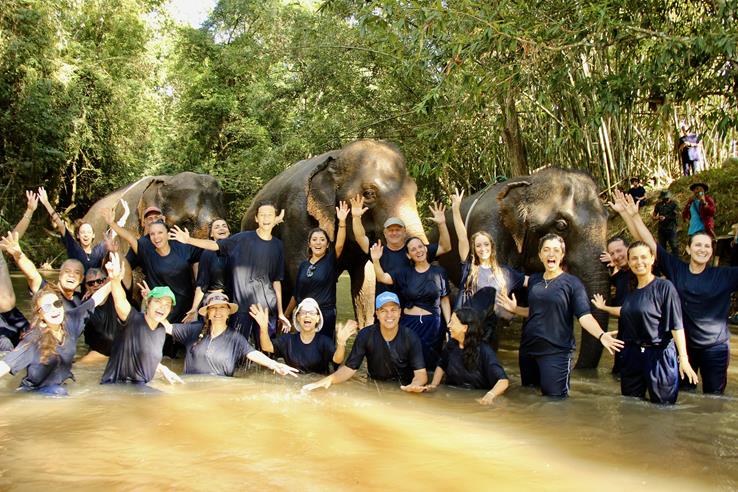 Tailândia Elefantes