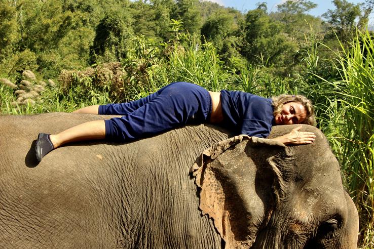 Tailândia Elefantes